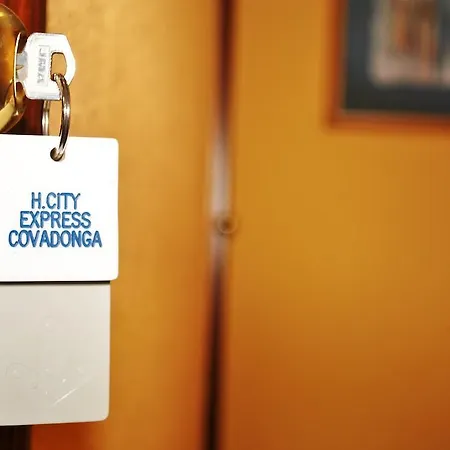 Express Covadonga Hotel 2*