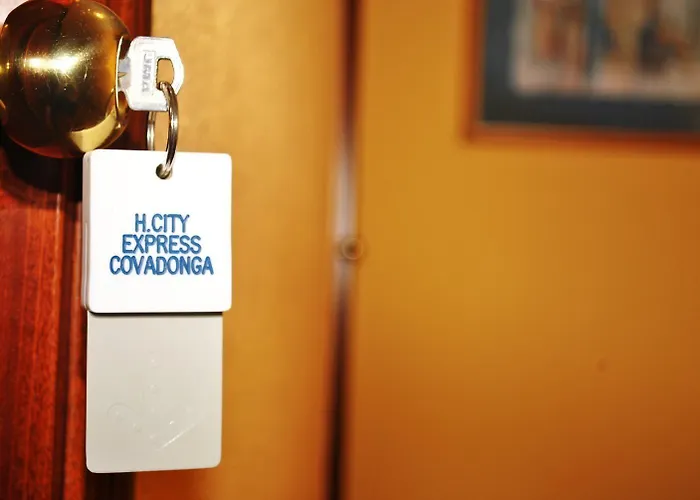 Express Covadonga Hotel 2*